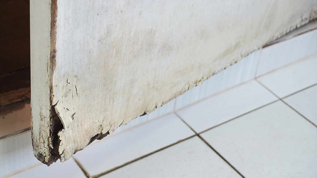 Agua por la puerta: consejos para evitar filtraciones y humedades