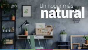 <center>Reformaccion: Tu web experta en reformas</center>