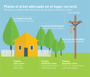 <center>Reformaccion: Tu web experta en reformas</center>