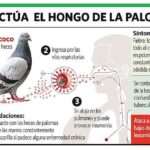 Distancia M&iacute;nima Entre Contenedores de Basura y Viviendas: Normativa y Consejos